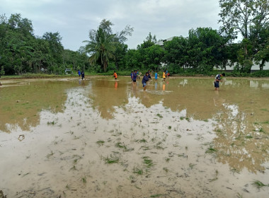 ทำนาข้าวเพื่อน้องๆโรงเรียนบ้านหนองบัว พารามิเตอร์รูปภาพ 3