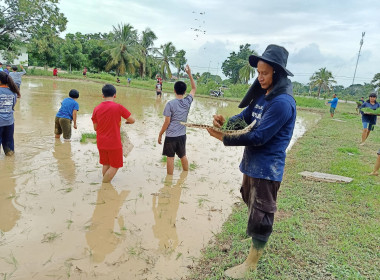 ทำนาข้าวเพื่อน้องๆโรงเรียนบ้านหนองบัว พารามิเตอร์รูปภาพ 5