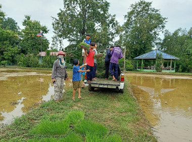 ทำนาข้าวเพื่อน้องๆโรงเรียนบ้านหนองบัว พารามิเตอร์รูปภาพ 1