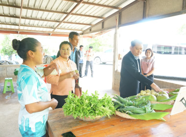 โครงการลูกหลานเกษตรกรกลับบ้านสานต่ออาชีพเกษตร ... พารามิเตอร์รูปภาพ 4