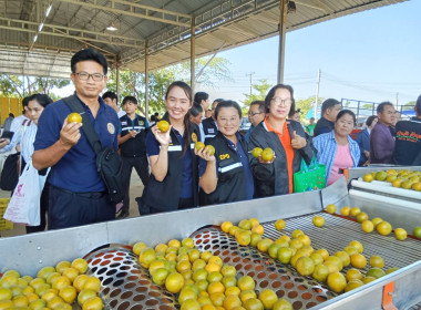 กิจกรรมลงพื้นที่ประชาสัมพันธ์การรับซื้อ &quot;ส้มเขียวหวาน&quot; พารามิเตอร์รูปภาพ 4