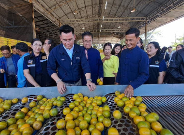 กิจกรรมลงพื้นที่ประชาสัมพันธ์การรับซื้อ &quot;ส้มเขียวหวาน&quot; พารามิเตอร์รูปภาพ 7