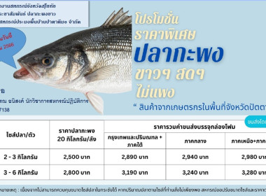 ร่วมสนับสนุนกระจายปลากะพงขาวออกนอกแหล่งผลิตพื้นที่จังหวัดปัตตานี ... พารามิเตอร์รูปภาพ 4