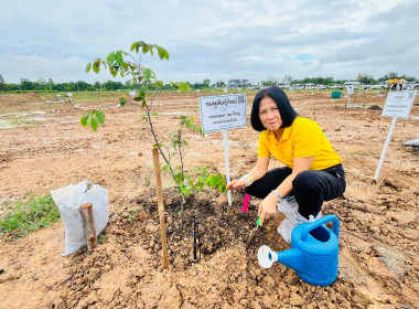 ปลูกต้นไม้ ภายใต้ &quot;โครงการ 72 ล้านต้น พลินพื้นป่า ... พารามิเตอร์รูปภาพ 5