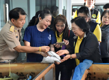 ผู้ตรวจราชการกระทรวงเกษตรและสหกรณ์ ประจำปีงบประมาณ พ.ศ. ... พารามิเตอร์รูปภาพ 14