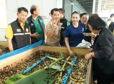 ผู้ตรวจราชการกระทรวงเกษตรและสหกรณ์ ประจำปีงบประมาณ พ.ศ. ... พารามิเตอร์รูปภาพ 13