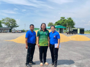 การรวบรวมผลผลิตการเกษตรของสหกรณ์การเกษตรเพื่อการตลาดลูกค้า ... พารามิเตอร์รูปภาพ 6