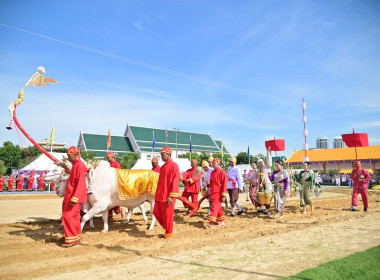 พระราชพิธีพืชมงคลจรดพระนังคัลแรกนาขวัญ ปีพุทธศักราช 2568 พารามิเตอร์รูปภาพ 5