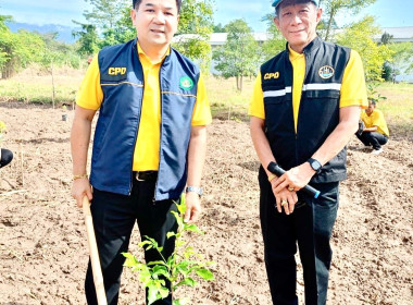 กิจกรรม ปลูกต้นไม้ 1 คน 1 ต้น เพื่อคนสุโขทัย พารามิเตอร์รูปภาพ 1