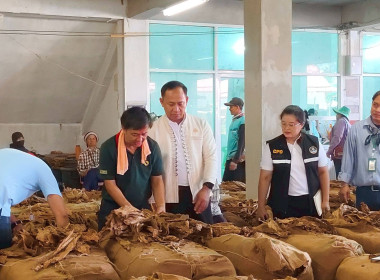 ติดตามธุรกิจการรวบรวมผลผลิตทางการเกษตรของสหกรณ์การเกษตรเพื่อการตลาดลูกค้า ธ.ก.ส.สุโขทัย จำกัด ... พารามิเตอร์รูปภาพ 2