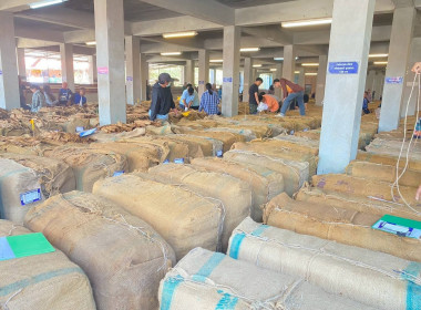 ติดตามธุรกิจการรวบรวมผลผลิตทางการเกษตรของสหกรณ์การเกษตรเพื่อการตลาดลูกค้า ธ.ก.ส.สุโขทัย จำกัด ... พารามิเตอร์รูปภาพ 3