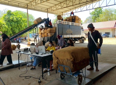ติดตามธุรกิจการรวบรวมผลผลิตทางการเกษตรของสหกรณ์การเกษตรเพื่อการตลาดลูกค้า ธ.ก.ส.สุโขทัย จำกัด ... พารามิเตอร์รูปภาพ 5