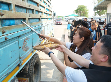 รัฐมนตรีช่วยกระทรวงเกษตรและสหกรณ์ (นางสาวปิยะรัฐชย์ ... พารามิเตอร์รูปภาพ 10